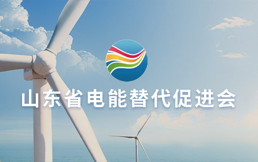 山東省電能替代促進會